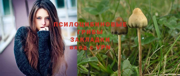 прущая мука Красноперекопск