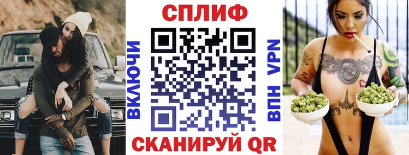 Конопля сатива Пущино
